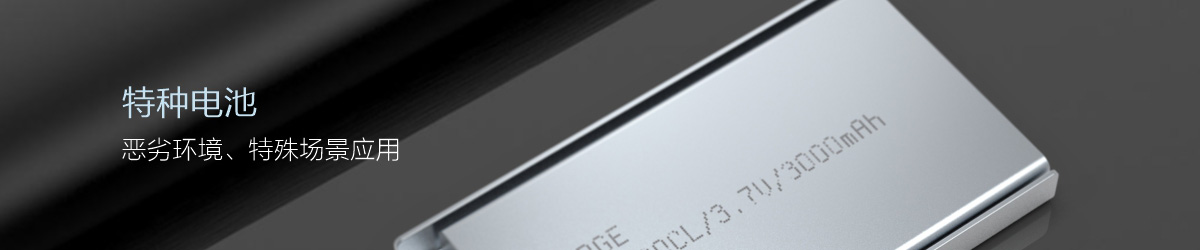 低溫聚合物電芯（可定制）