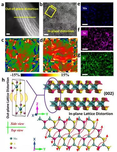 editor1527084129880924.png 1.png