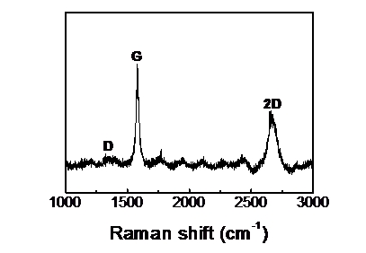 editor1527518479100335.jpg 33.jpg